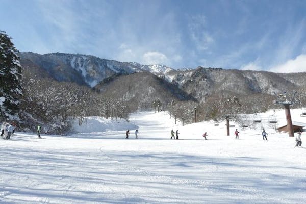 メール便無料】 爺ヶ岳スキー場 リフト1日券 スキー場 - velileenre.com