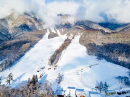 超特割！【最大18%割引】爺ガ岳スキー場 1日リフト券 お子様連れも安心