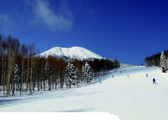 超特割！【最大27%割引】開田高原マイアスキー場リフト1日券 ※12/14予定〜3/30まで利用可 ｜アソビュー！