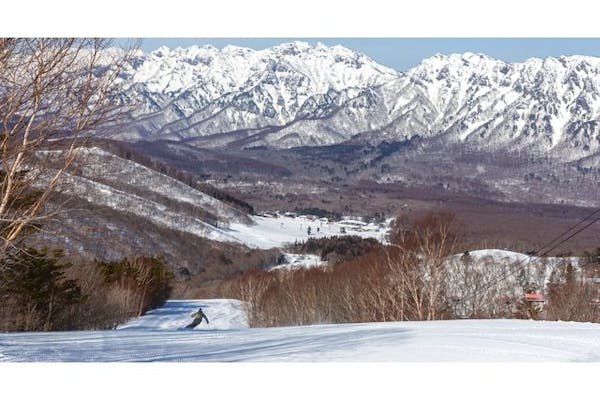 戸隠スキー場 平日リフト1日特別ご招待券 揺らし