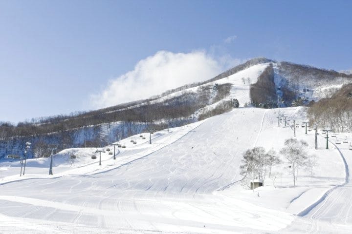 斑尾高原スキー場　リフト券✖️2枚リフト券１日券と交換できます