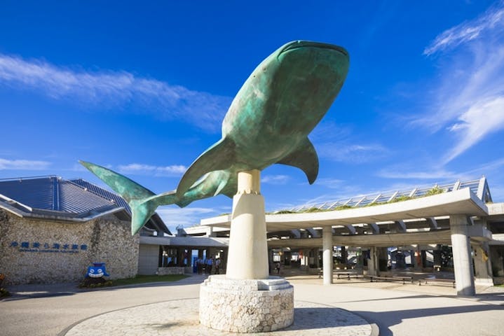 沖縄美ら海水族館 割引チケット クーポンならアソビュー