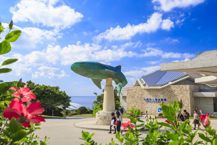 沖縄美ら海水族館 割引チケット クーポンならアソビュー