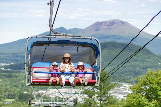 プリンスリゾート　2枚　スキーリフト券　土日祝可　苗場、軽井沢、志賀高原等