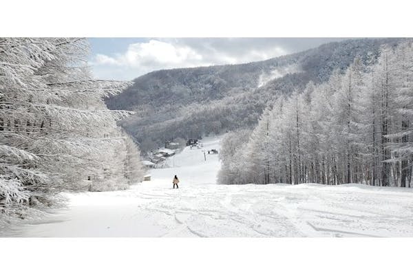 箕輪スキー場 リフト1日招待券 - スキー場