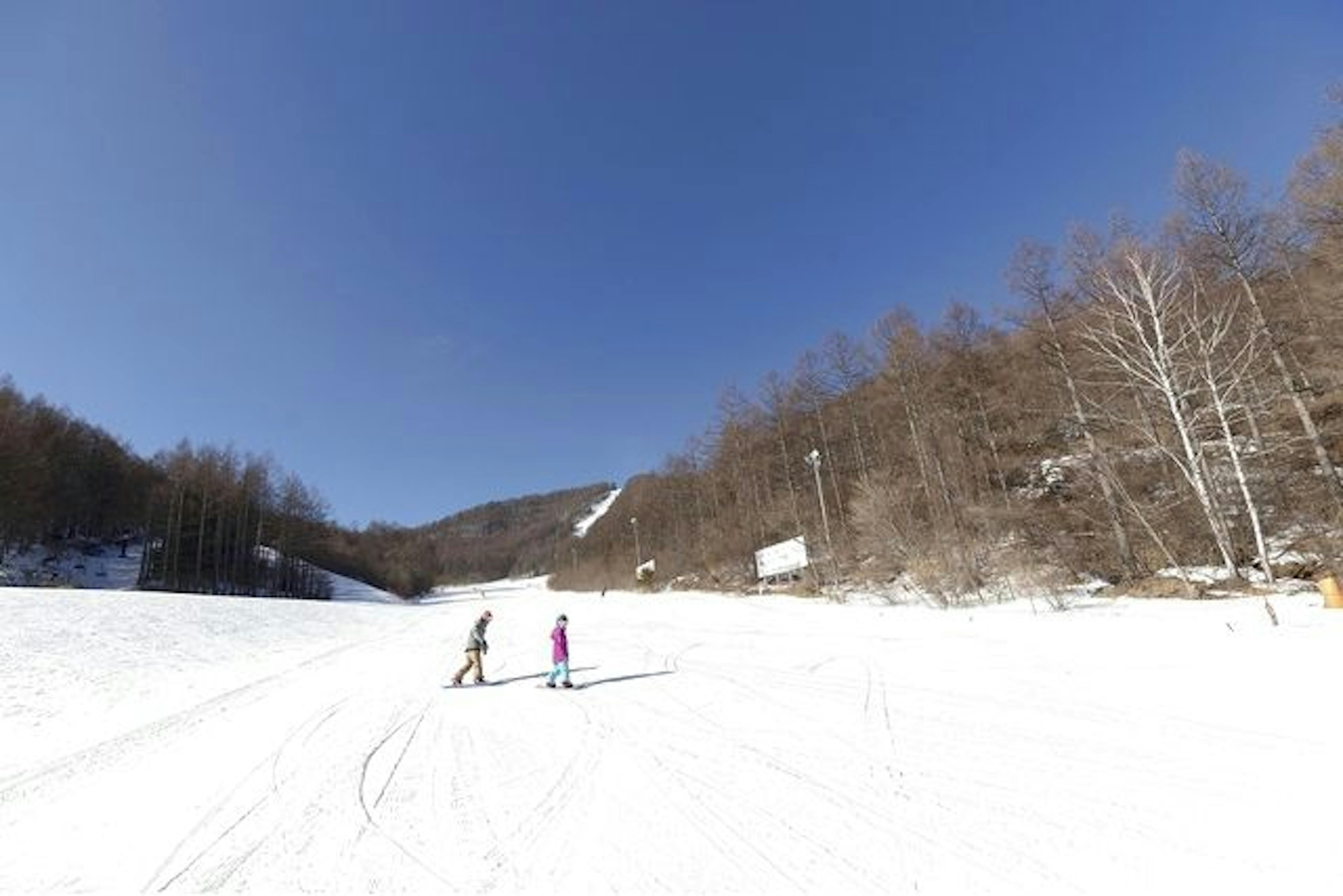 シャトレーゼスキー場野辺山＆小海 全日リフト１日券 - スキー場