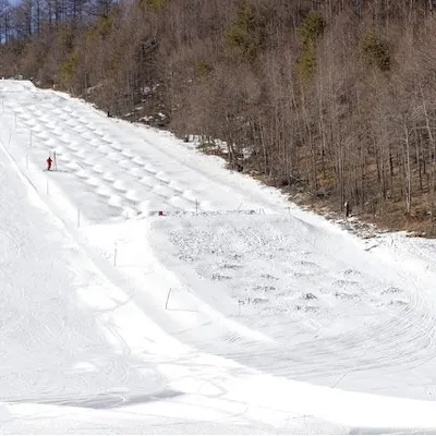 スノボーgirl様専用 シャトレーゼ 小海 スキー リフト券6枚 女子 スノボーgirl様専用 シャトレーゼ 小海 スキー リフト券6枚 女子