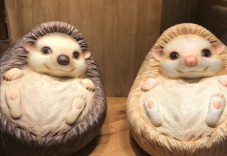 横浜 動物カフェの遊び体験 アソビュー 休日の便利でお得な遊び予約サイト