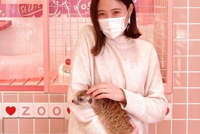 超特割！【大人限定・22％割引】動物カフェ30分 クーポン 原宿かわいい動物園 予約不可