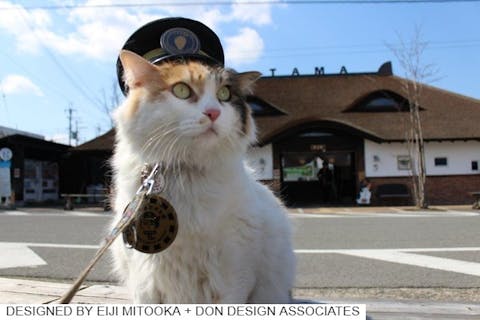 紀の川市の遊び体験 アソビュー 休日の便利でお得な遊び予約サイト