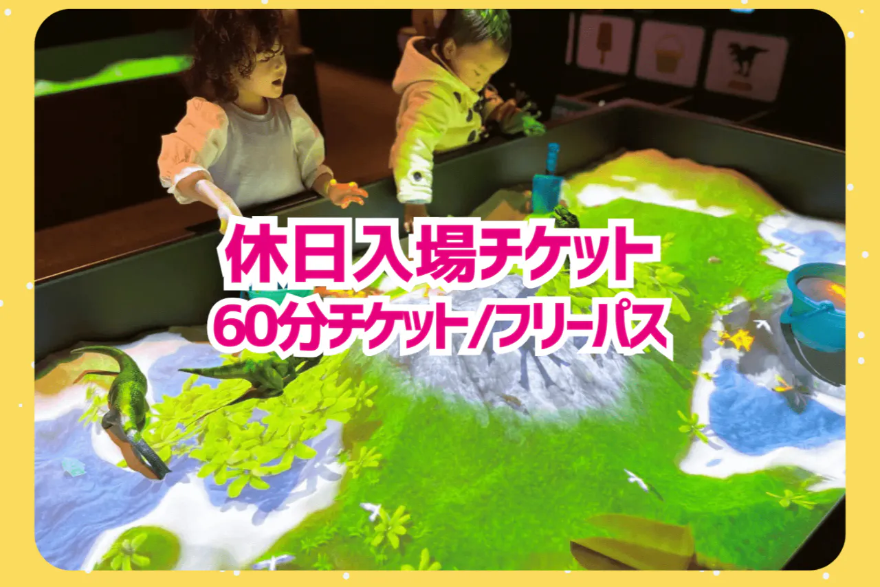 【土日祝】リトルプラネット ららぽーと沼津 入場チケット