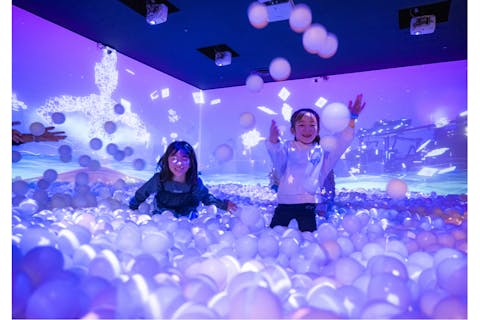 【100円引き】土日祝・リトルプラネットキテミテマツド 入場チケット