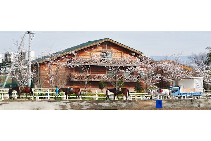 乗馬クラブ　クレイン大阪