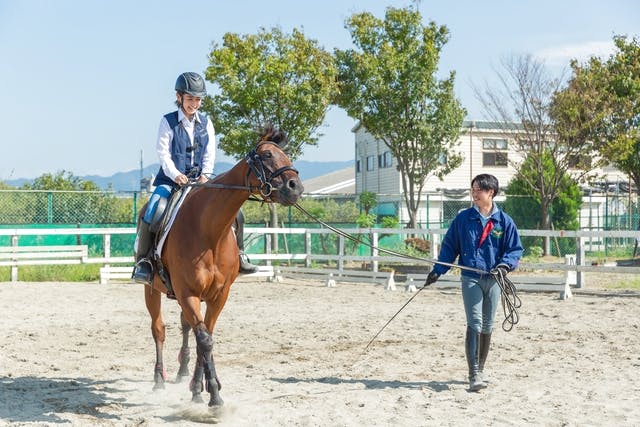 乗馬クラブ クレイン大阪乗馬体験1回コース 平日/土日祝日価格(諸費用