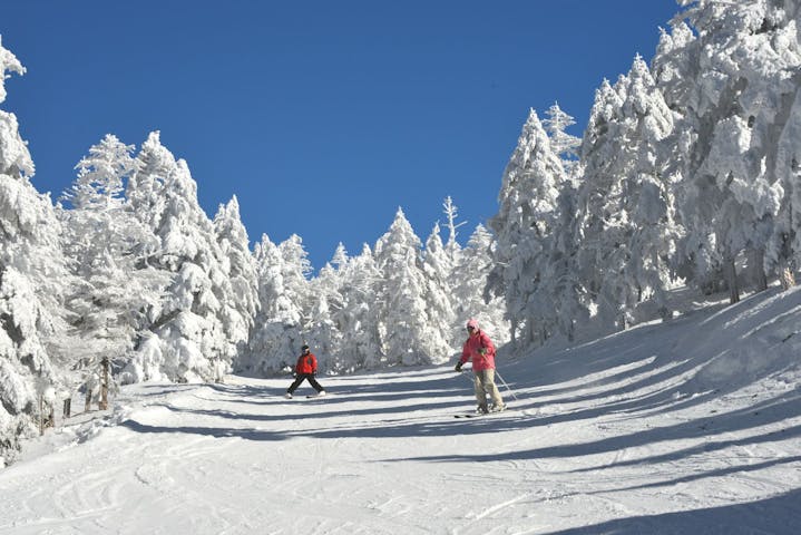 ピラタス蓼科スノーリゾート