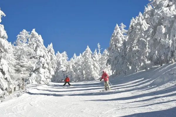 購入の翌日から利用可・お得なWEBチケット】ピラタス蓼科スノー