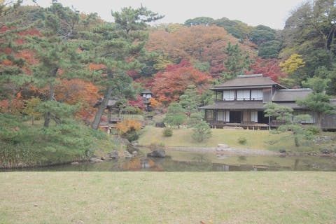 関東 公園 庭園の遊び体験 日本最大の体験 遊び予約サイト アソビュー