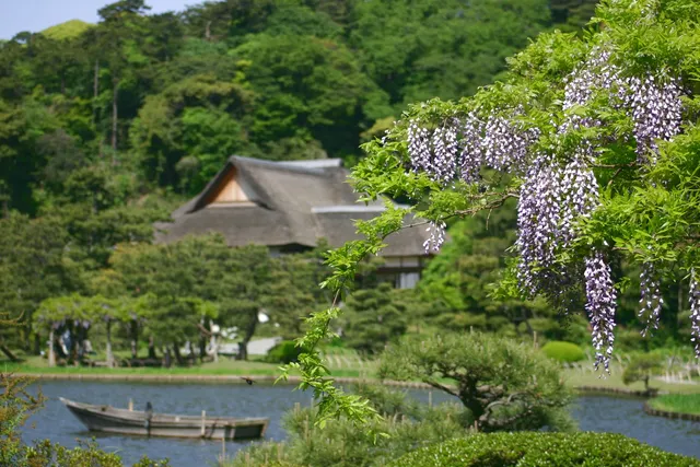 三溪園｜観光スポット｜【公式】横浜市観光情報サイト - Yokohama
