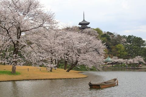 三溪園　電子前売り入園チケット
