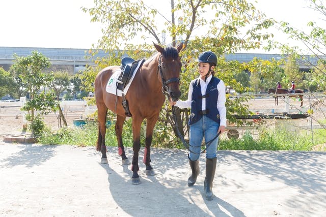 乗馬クラブクレイン ジュニア会員 土日祝日用 騎乗券５枚 - その他