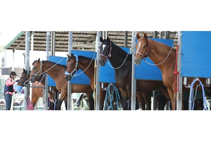 乗馬クラブ クレイン東海