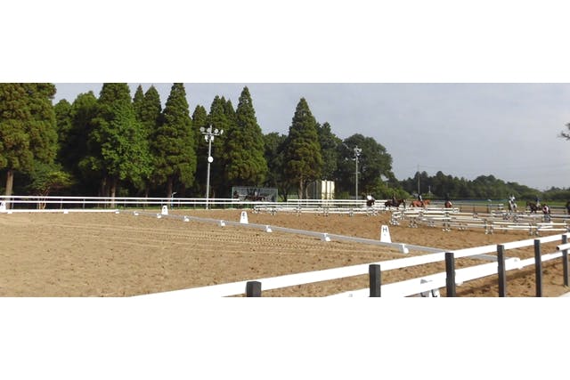 乗馬クラブ クレイン千葉 富里乗馬体験1回コース 平日/土日祝日