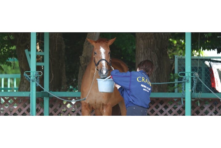 乗馬クラブ クレイン千葉