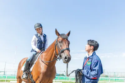 乗馬クラブ クレイン恵那乗馬体験1回コース 平日/土日祝日価格(諸費用 