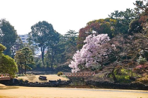 新宿御苑　日時指定団体予約券