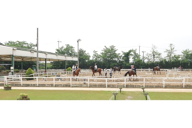 ニッケ乗馬クラブ・クレイン加古川乗馬体験1回コース 平日/土日祝日価格(諸費用全て込み) ※要予約｜アソビュー！