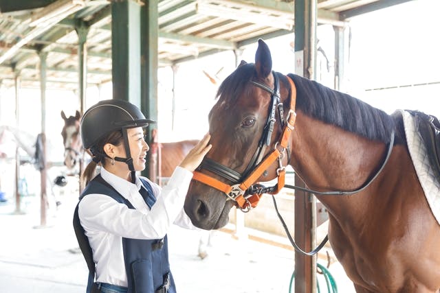 両備乗馬クラブ・クレイン岡山乗馬体験1回コース 平日/土日祝日価格(諸費用全て込み) ※要予約｜アソビュー！