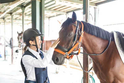 両備乗馬クラブ・クレイン岡山乗馬体験1回コース 平日/土日祝日価格(諸 