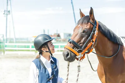 両備乗馬クラブ・クレイン岡山乗馬体験1回コース 平日/土日祝日価格(諸 