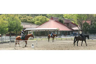 両備乗馬クラブ・クレイン岡山乗馬体験1回コース 平日/土日祝日価格(諸 