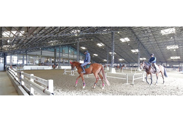 乗馬クラブ クレイン福岡