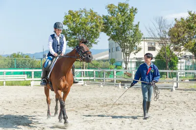 超特割 38 割引 海岸公園馬術場 乗馬体験2回 初回から1ヶ月 1人1枚 要予約 アソビュー