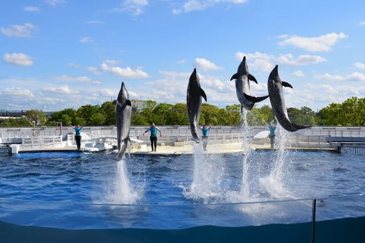 9 割引 京都鉄道博物館 京都水族館 割引チケット クーポンならアソビュー