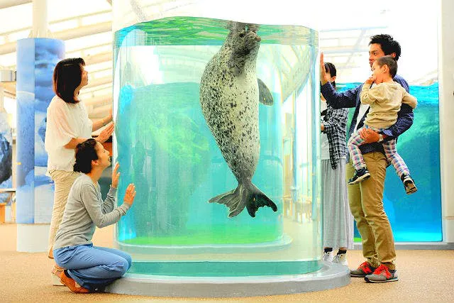 最大410円割引】京都鉄道博物館×京都水族館 入館セット券｜アソビュー！