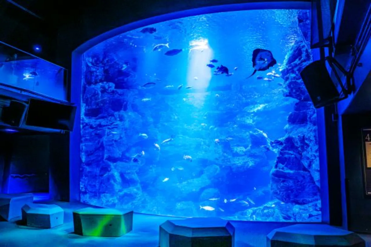 最大410円割引】京都鉄道博物館×京都水族館 入館セット券｜アソビュー！