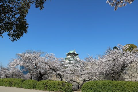 関西 国営公園 森林公園まとめ 遊び 体験の予約なら アソビュー