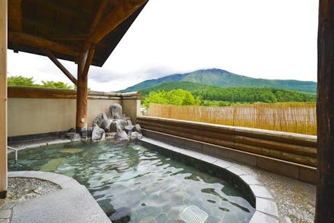 超特割！【最大25%割引】北信越の山々を望む絶景　むれ温泉 天狗の館　入館券