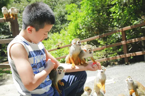 九州 おすすめ動物園一覧 割引クーポン情報 アソビュー