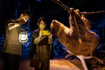 【12%割引】カワスイ 川崎 族館｜割引チケット・クーポンならアソビュー！