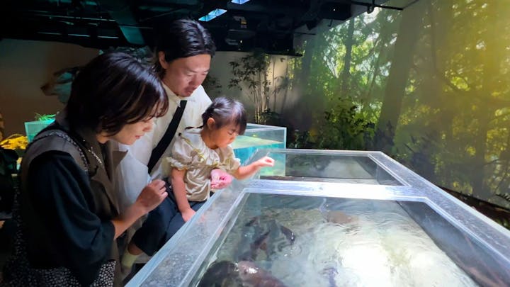 カワスイ 川崎⽔族館
