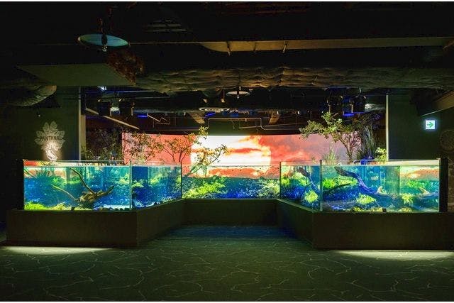 超特割！【15%割引】カワスイ 川崎水族館　電子前売り入館チケット