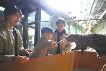 オマキヤマアラシのエサやり付】アグア・テラ エリアガイドツアー