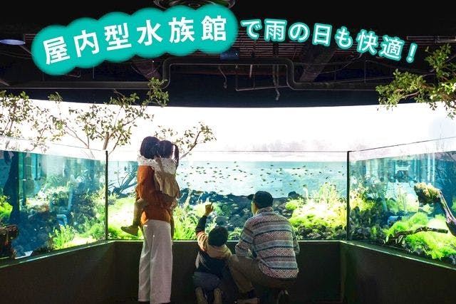 【最大15％OFF 7/6まで】金券500円分付！カワスイで出会う、世界の水辺の物語。入館チケット