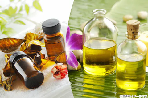 超特割！【96%OFF】アロマセルライト＋アロマテラピー認定講師　通信講座（認定証込）送料無料