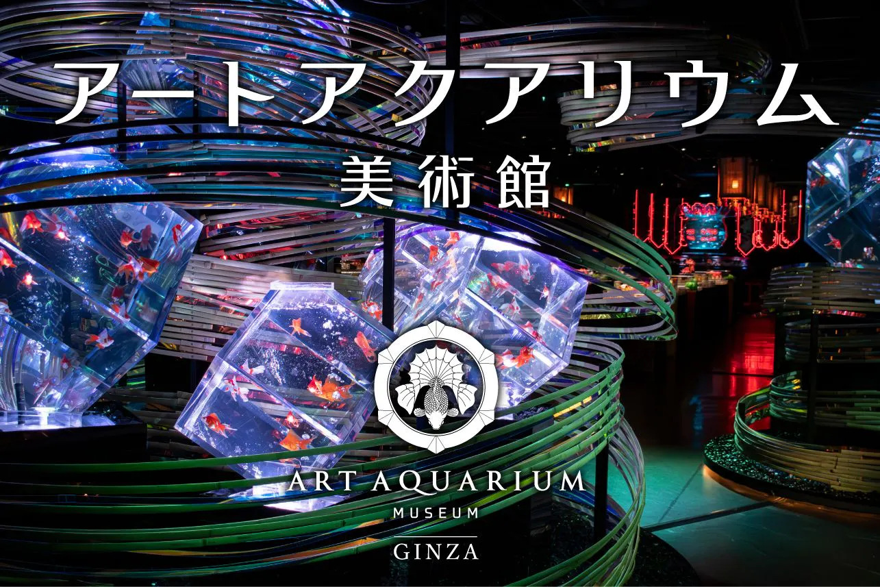 【銀座駅直結】アートアクアリウム美術館 GINZA 日時指定入場券