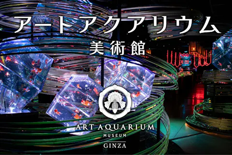 スムチケ】マクセル アクアパーク品川 WEB入場券 ｜アソビュー！